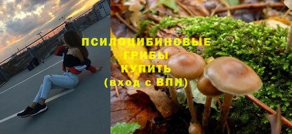ALPHA PVP Алексин